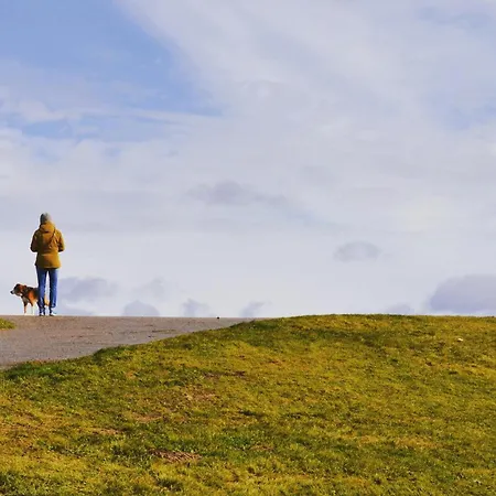 Foerdezauber - Ruhiges Mit Eingezaeuntem Garten Und Kamin * Grundhof